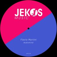 Flavio Martini - Audiomind