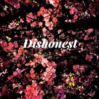 Modest - Dishonest