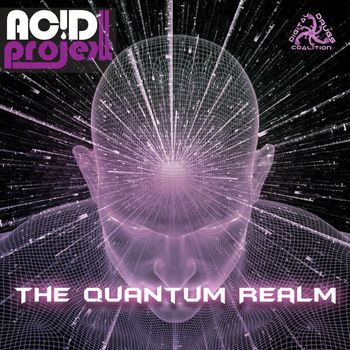 AcidProjekt - The Quantum Realm