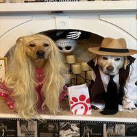 Greenie - Puppies in Our Feed