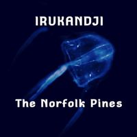 The Norfolk Pines - Irukandji
