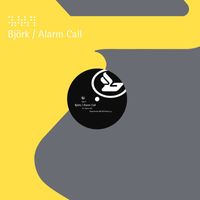 Björk - Alarm Call (3)