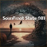 Various Artists - Sounemot State 081