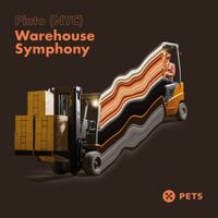 Pinto (NYC) - Warehouse Symphony EP