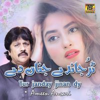 Ameen Ansari - Tur Janday Jinan Dy