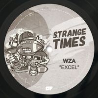 Wza - Excel