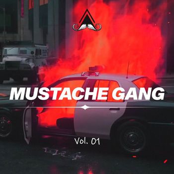 Various Artists - Mustache Gang, Vol. 01