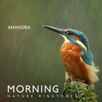 Anandra - Morning Nature Ringtones: Calming Rain & Soothing Singing Birds
