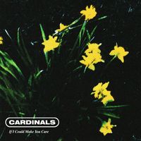 Cardinals - If I Could Make You Care