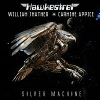 Hawkestrel - Silver Machine