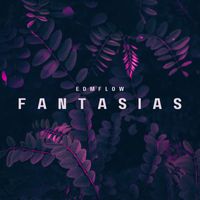 EDMFLOW - Fantasias