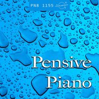 Plan 8 - Pensive Piano: Thoughtful, Reflective, Heartfelt