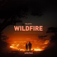 Palastic - Wildfire
