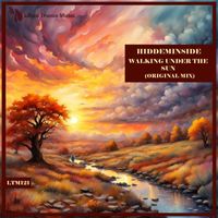 Hiddeminside - Walking Under the Sun