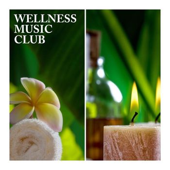 Various Artists - Wellness Music Club