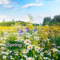 Four Seasons - Spring