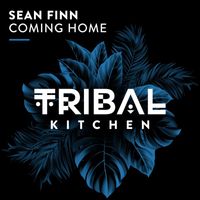 Sean Finn - Coming Home