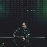 Tyler Lewis - fly on the wall