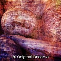Nature Sounds Nature Music - 30 Original Dreams