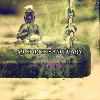 Ambiente - 49 Spirits Sanctuary