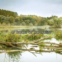 Yoga Sounds - 47 Tracks Of Tranquility