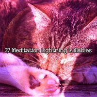 Rain Sounds - 37 Meditation Lightning Lullabies