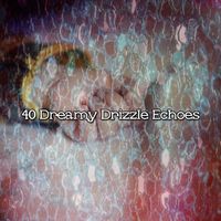 Relaxing Rain Sounds - 40 Dreamy Drizzle Echoes