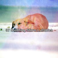 Rain Sounds Nature Collection - 37 Soothing Storm Lullabies