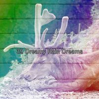 Thunderstorms - 39 Dreamy Rain Dreams