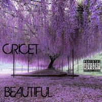 Cricet - Beautiful (Explicit)