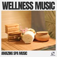 Amazing Spa Music - Wellness Music