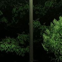 Ueda Takayasu - Slight Light Night