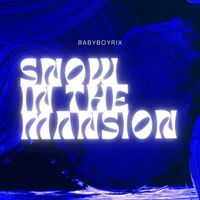 Babyboyrix - Snow In The Mansion (Explicit)