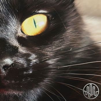 AURAL - Amor Animal