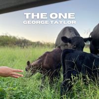George Taylor - The One