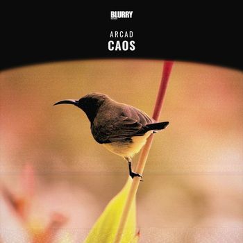 Arcad - Caos