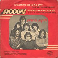Kaveret - Poogy