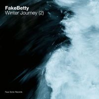 Fake Betty - Winter Journey (2)