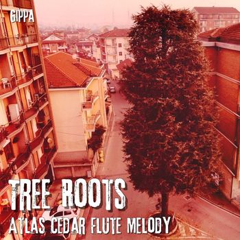 Gippa - Tree Roots (Atlas Cedar Flute Melody)