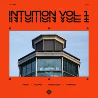 Various Artists - Intuition Music Vol.1