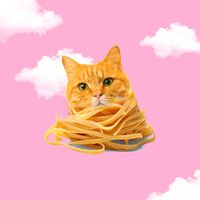 Fettucini Shippuden - I Love Cats