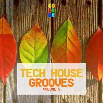 Various Artists - Tech House Grooves, Vol. 5