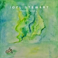 Joel Stewart - Pretty Green