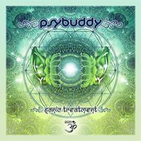 Psybuddy - Sonic Treatment