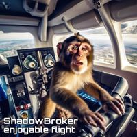 ShadowBroker - enjoyable flight