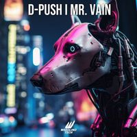 D-Push - Mr. Vain