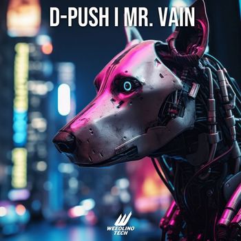 D-Push - Mr. Vain