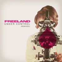 Adam Freeland - Under Control (Remixes)