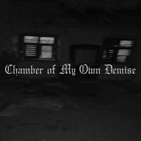 Lost in Sorrow - Chamber of My Own Demise