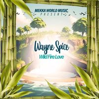 Wayne Spice - Wild Fire Love